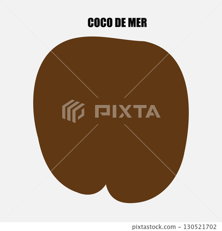Rare Coco de Mer nut icon, sea coconut, coco de mer, or double coconut. Lodoicea fruit 130521702