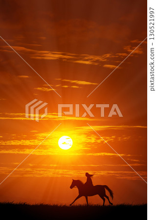 Horse silhouette against the morning sky 130521997