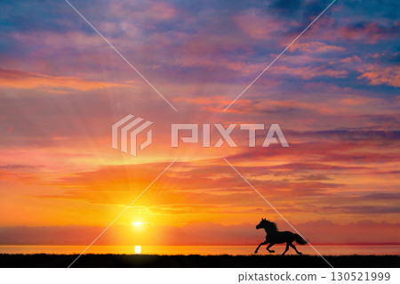 清晨天空中的馬匹剪影 清晨天空中的馬匹剪影 130521999