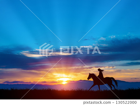 Horse silhouette against the morning sky 130522000