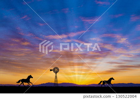 清晨天空中的馬匹剪影 清晨天空中的馬匹剪影 130522004