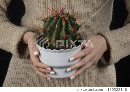 Hands hold a flower pot with a cactus. Hands hold a flower pot with a cactus. 130522148
