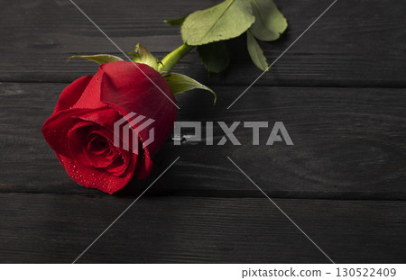 Red rose close-up with water droplets on a wooden background. Beautiful flower. Red rose close-up with water droplets on a wooden background. Beautiful flower. 130522409