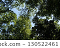 區域內的森林 130522461