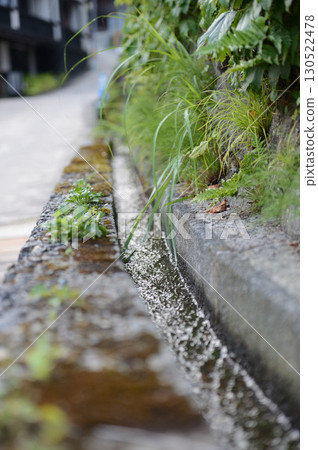 Plants growing in irrigation channels 130522478