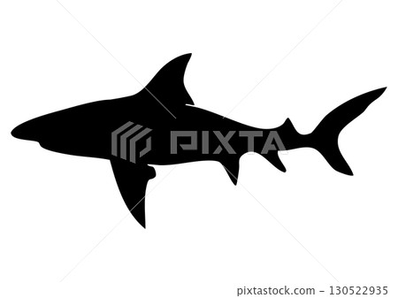 鯊魚的剪影 鯊魚的剪影 130522935