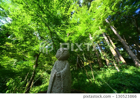 Standing in fresh greenery 130523866