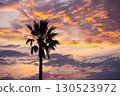 Palm trees and sunsets 130523972
