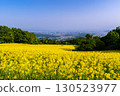 Aizu Basin seen from a rapeseed flower field 130523977
