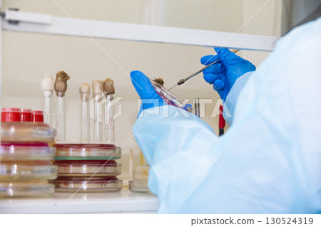 The hands of a physician laboratory assistant in an infectious disease laboratory examines the samples. The hands of a physician laboratory assistant in an infectious disease laboratory examines the samples. 130524319