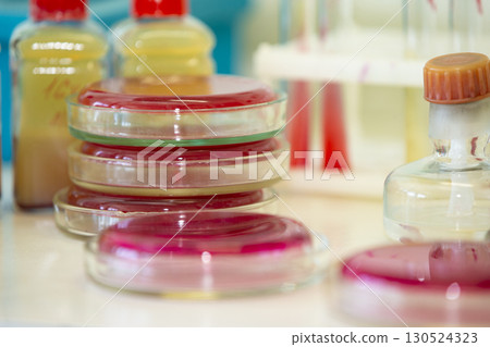 Bacterial colonies of streptococci with alpha hemolytics on a blood agar plate. Infection laboratory at the hospital. 130524323
