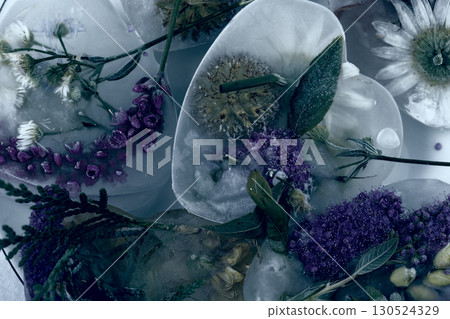 Vintage dark background flowers in ice. Creative floral background. Frozen beautiful plants. 130524329