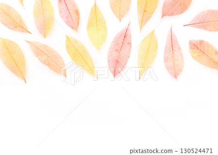 Autumn leaves background with copy space. Painted skeleton leaves 130524471