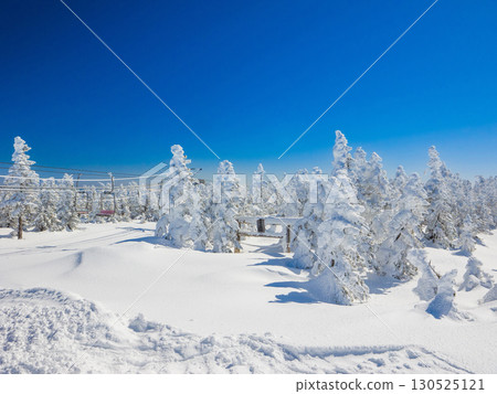 The torii gate of Yokoteyama Shrine and the ski lifts covered in frost and snow (Yamanouchi Town, Yokoteyama, Nagano Prefecture) 130525121