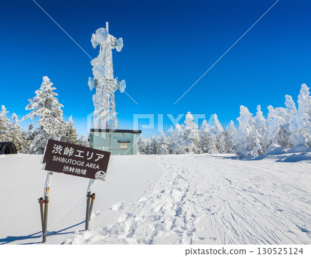 Shibutoge Ski Resort area (Yamanouchi Town, Nagano Prefecture, Yokoteyama) with its beautiful frost-covered trees and snow-covered radio tower 130525124