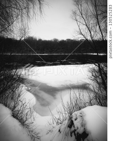 winter river and trees in winter season winter river and trees in winter season 130525283