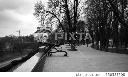 Black and white image with a bench in a city park and brenches. 130525308