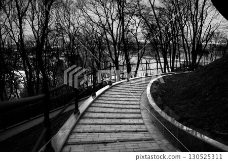 A Park Staircase in Early Spring 130525311