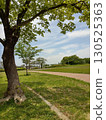 Park scenery with blue sky and shady trees 130525363