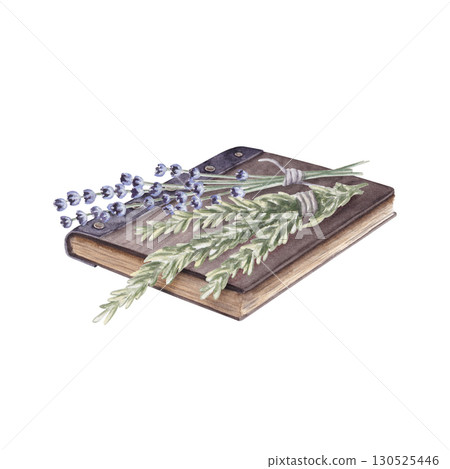 Watercolor composition of book and herbs. Hand drawn illustration isolated on white background 130525446