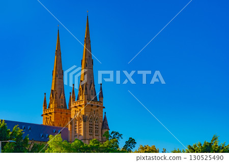 Sydney Cathedral and Nature Sydney Cathedral and Nature 130525490