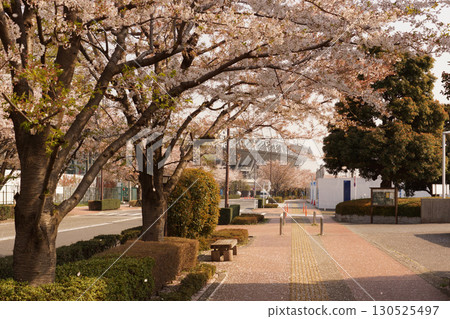 人行道染上了春天的色彩 人行道染上了春天的色彩 130525497