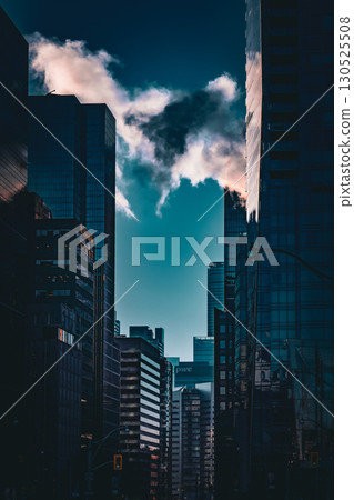 多倫多城市景觀（加拿大） 130525508