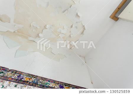 Moss and Mold spots on the ceiling on wall 130525859