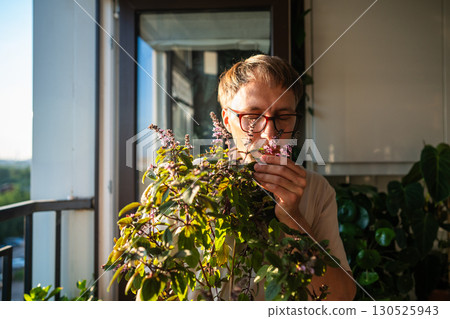 Man enjoying basil scent at home garden, herb growing of plant lover. Aroma appreciation of herbs 130525943