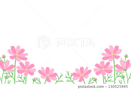 波斯菊花田框架秋天粉紅色背景簡單 波斯菊花田框架秋天粉紅色背景簡單 130525945