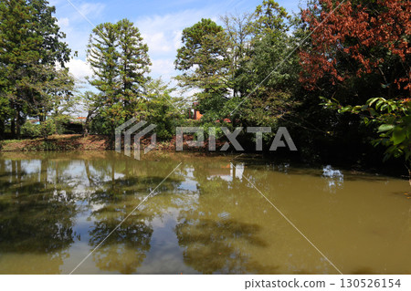 久月戶冰河神社的池塘 久月戶冰河神社的池塘 130526154
