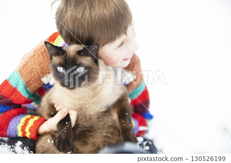 A little boy in a striped sweater is holding a Siamese cat. A little boy in a striped sweater is holding a Siamese cat. 130526199