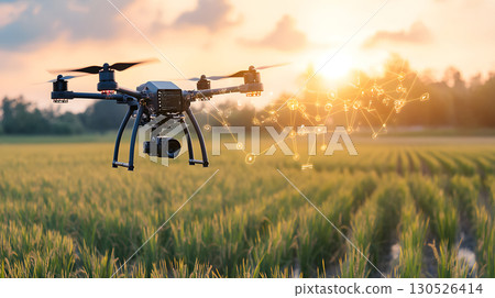 A drone flying above green rice fields during sunset, scanning crops with AI technology. Perfect for agriculture, smart farming, and tech applications. A drone flying above green rice fields during sunset, scanning crops with AI technology. Perfect for agriculture, smart farming, and tech applications. 130526414