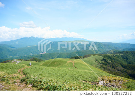 Hiking trails of Mt. Mitake Hiking trails of Mt. Mitake 130527252