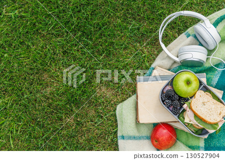 Picnic on a lawn with books, sandwiches, fruits Picnic on a lawn with books, sandwiches, fruits 130527904