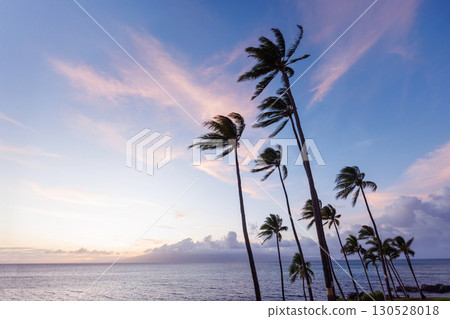 Stunning Hawaii ocean sunset with silhouettes of palm trees swaying against a vibrant sky 130528018