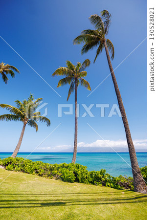 Beautiful Maui landscape in Hawaii Beautiful Maui landscape in Hawaii 130528021