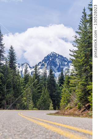 Scenic road in Mount Rainier National Park with fir trees on both sides and a snowy mountain 130528023