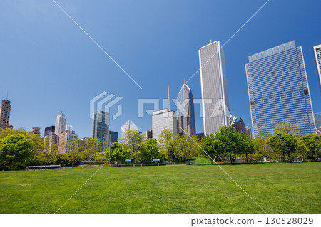 Sunny view of downtown Chicago with iconic skyscrapers rising above a lush green park meadow Sunny view of downtown Chicago with iconic skyscrapers rising above a lush green park meadow 130528029