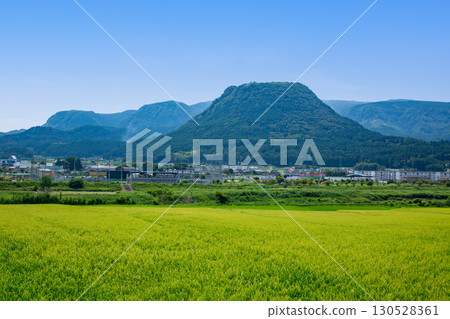 龜須盆地稻田和山。 130528361