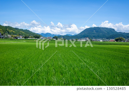 龜珠盆地的稻田和萬年山 130528485