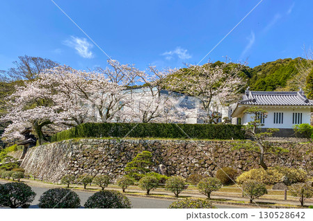 Saiki Castle Sannomaru Yaguramon Gate and cherry blossoms at Saiki Cultural Center 130528642
