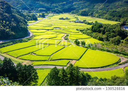 Tadameso Tadameso 130528816