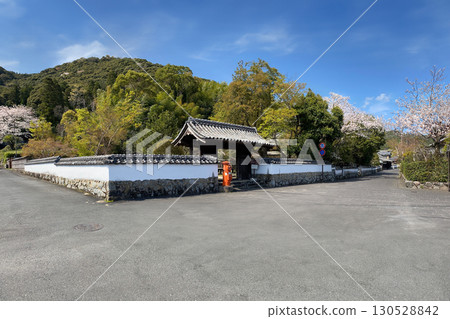 Saiki City Yamagiwa Historical Site Square and Cherry Blossoms Saiki City Yamagiwa Historical Site Square and Cherry Blossoms 130528842