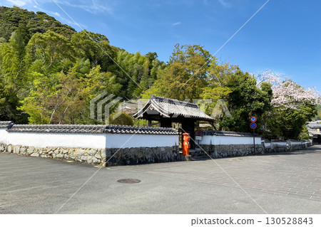 Saiki City Yamagiwa Historical Site Square and Cherry Blossoms 130528843
