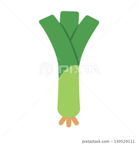 Crisp leafy leek vegetable flat vector illustration 130529111