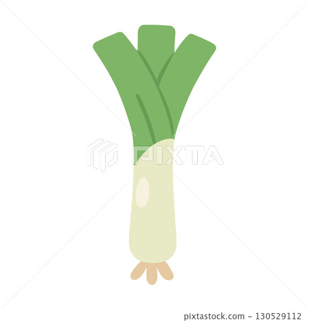 Fresh green leek vegetable flat vector illustration 130529112