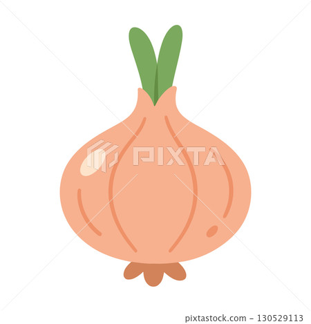 Golden bulb onion flat vector illustration 130529113