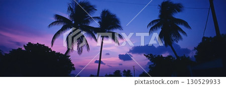 Peaceful tropical sunset with palm silhouettes and dramatic sky colors Peaceful tropical sunset with palm silhouettes and dramatic sky colors 130529933