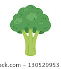 Broccoli Stem Illustration 130529953